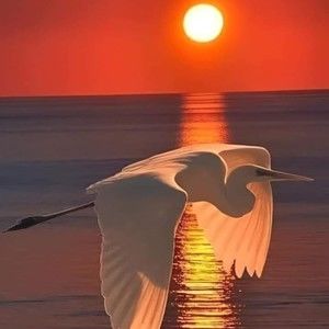 Meet your Posher, Rita